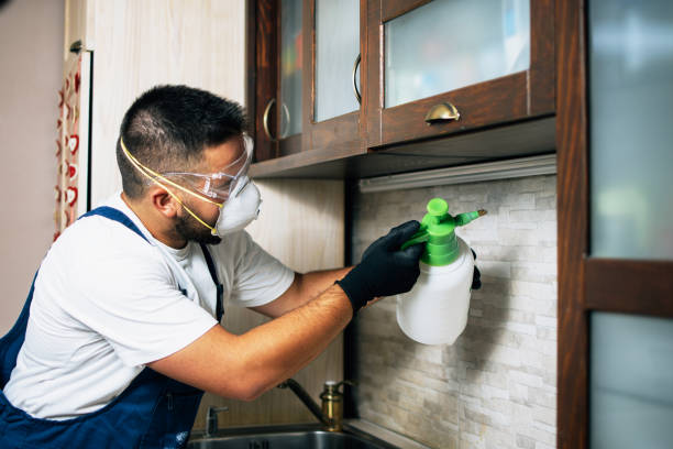 Wasp Removal Services in Utqiagvik, AK