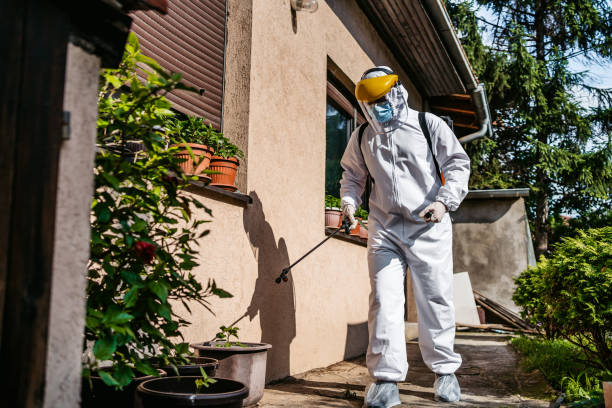 Best Local Pest Control Services  in Utqiagvik, AK