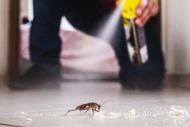 Spider Control Near Me in Utqiagvik, AK