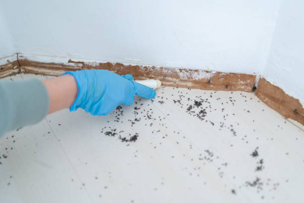 Best Affordable Pest Control Services  in Utqiagvik, AK